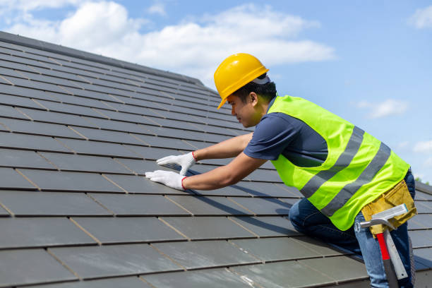 Best Roof Gutter Cleaning  in Pahoa, HI