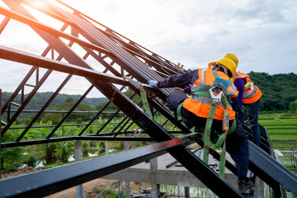 Best Tile Roofing Contractor  in Pahoa, HI