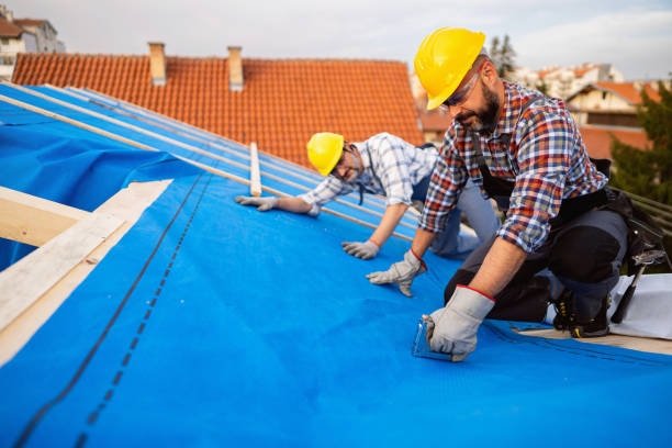 Best Roof Repair Services  in Pahoa, HI