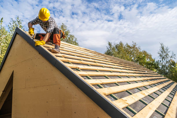 Best Roof Maintenance Services  in Pahoa, HI