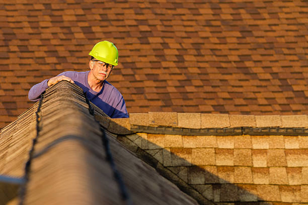 Best Roof Leak Repair  in Pahoa, HI