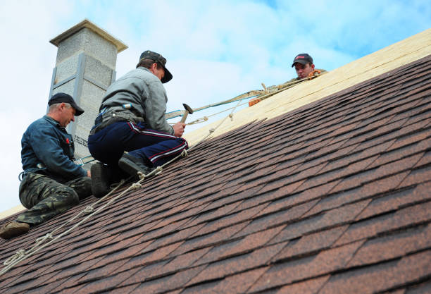 Residential Roof Replacement in Pahoa, HI